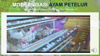 MODERNISASI AYAM PETELUR
Kelompok dapat mengajukan Pembiayaan untuk Peternakan Ini
 