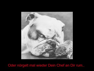 Oder nörgelt mal wieder Dein Chef an Dir rum.. 