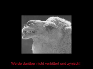 Werde darüber nicht verbittert und zynisch! 