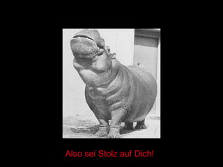 Also sei Stolz auf Dich! 