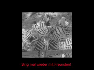 Sing mal wieder mit Freunden! 