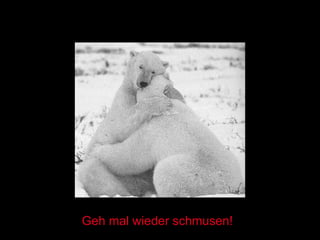 Geh mal wieder schmusen! 