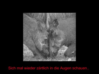 Sich mal wieder zärtlich in die Augen schauen.. 