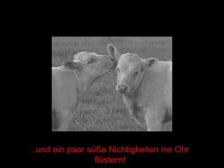 ..und ein paar süße Nichtigkeiten ins Ohr flüstern! 