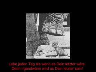 Lebe jeden Tag als wenn es Dein letzter wäre. Denn irgendwann wird es Dein letzter sein! 