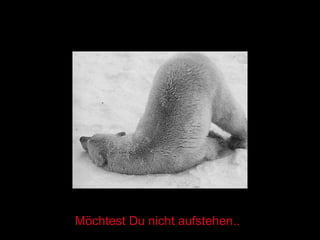 Möchtest Du nicht aufstehen.. 