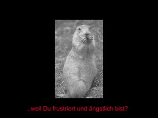 ..weil Du frustriert und ängstlich bist? 