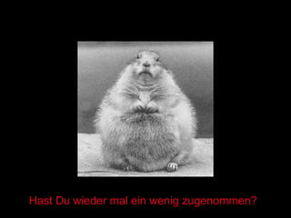 Hast Du wieder mal ein wenig zugenommen? 