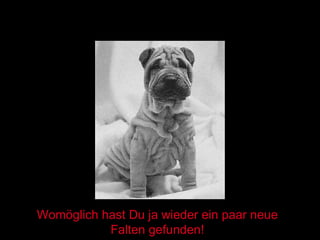 Womöglich hast Du ja wieder ein paar neue Falten gefunden! 