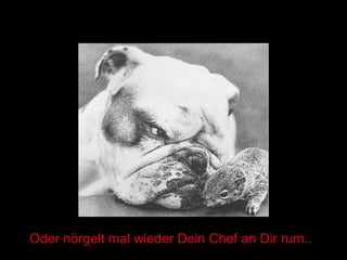 Oder nörgelt mal wieder Dein Chef an Dir rum.. 