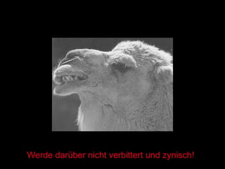 Werde darüber nicht verbittert und zynisch! 