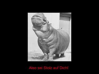 Also sei Stolz auf Dich! 