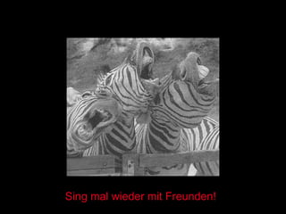 Sing mal wieder mit Freunden! 