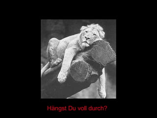 Hängst Du voll durch? 