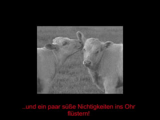 ..und ein paar süße Nichtigkeiten ins Ohr flüstern! 