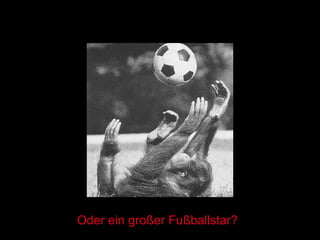 Oder ein großer Fußballstar? 