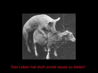 Das Leben hat doch soviel neues zu bieten! 