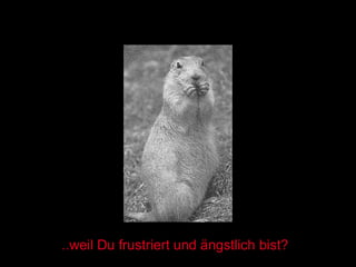..weil Du frustriert und ängstlich bist? 
