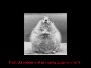 Hast Du wieder mal ein wenig zugenommen? 