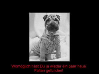 Womöglich hast Du ja wieder ein paar neue Falten gefunden! 