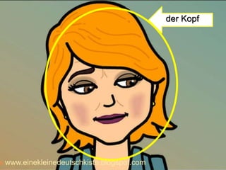 der Kopf
 www.einekleinedeutschkiste.blogspot.com
 