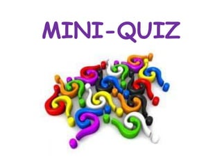 MINI-QUIZ
 
