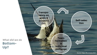 What did we do
Bottom-
Up?
Source: https://flic.kr/p/pxJ3o5
Transpa-
rency on
goals &
projects Self-selec
tion
Team
formation
&
individual
exchange
 