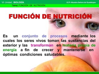 Es un conjunto de procesos mediante los
cuales los seres vivos toman las sustancias del
exterior y las transforman en materia propia de
energía a fin de crecer y mantenerse en
óptimas condiciones saludables.
VI- Unidad : BIOLOGÍA
Tema: FUNCIÓN DE NUTRICIÓN
I.E.P «Nuestra Señora de Guadalupe»
 