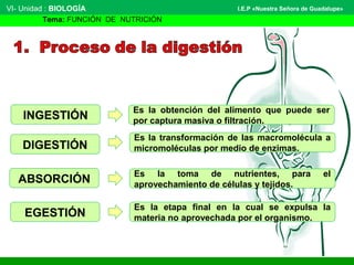 VI- Unidad : BIOLOGÍA
Tema: FUNCIÓN DE NUTRICIÓN
I.E.P «Nuestra Señora de Guadalupe»
INGESTIÓN
DIGESTIÓN
EGESTIÓN
ABSORCIÓN
Es la obtención del alimento que puede ser
por captura masiva o filtración.
Es la transformación de las macromolécula a
micromoléculas por medio de enzimas.
Es la toma de nutrientes, para el
aprovechamiento de células y tejidos.
Es la etapa final en la cual se expulsa la
materia no aprovechada por el organismo.
 