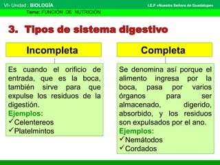 VI- Unidad : BIOLOGÍA
Tema: FUNCIÓN DE NUTRICIÓN
I.E.P «Nuestra Señora de Guadalupe»
Incompleta
Es cuando el orificio de
entrada, que es la boca,
también sirve para que
expulse los residuos de la
digestión.
Ejemplos:
Celentereos
Platelmintos
Completa
Se denomina así porque el
alimento ingresa por la
boca, pasa por varios
órganos para ser
almacenado, digerido,
absorbido, y los residuos
son expulsados por el ano.
Ejemplos:
Nemátodos
Cordados
 
