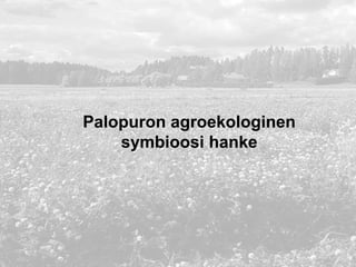 Palopuron agroekologinen
symbioosi hanke
 