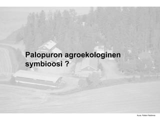 Palopuron agroekologinen
symbioosi ?
Kuva: Petteri Patolinna
 