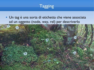 Tagging

   Un tag è una sorta di etichetta che viene associata
    ad un oggetto (node, way, rel) per descriverlo
 