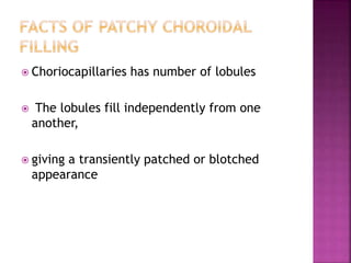  Choriocapillaries has number of lobules
 The lobules fill independently from one
another,
 giving a transiently patched or blotched
appearance
 