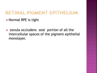  Normal RPE is tight
 zonula occludens seal portion of all the
intercellular spaces of the pigment epithelial
monolayer.
 