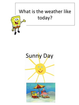 What is the weather like today? Sunny Day 