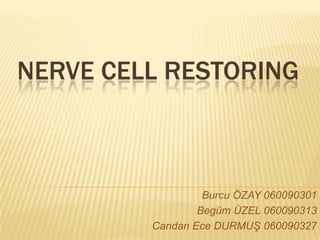 Nerve Cell restoring,[object Object],Burcu ÖZAY 060090301,[object Object],Begüm ÜZEL 060090313,[object Object],Candan Ece DURMUŞ 060090327,[object Object]