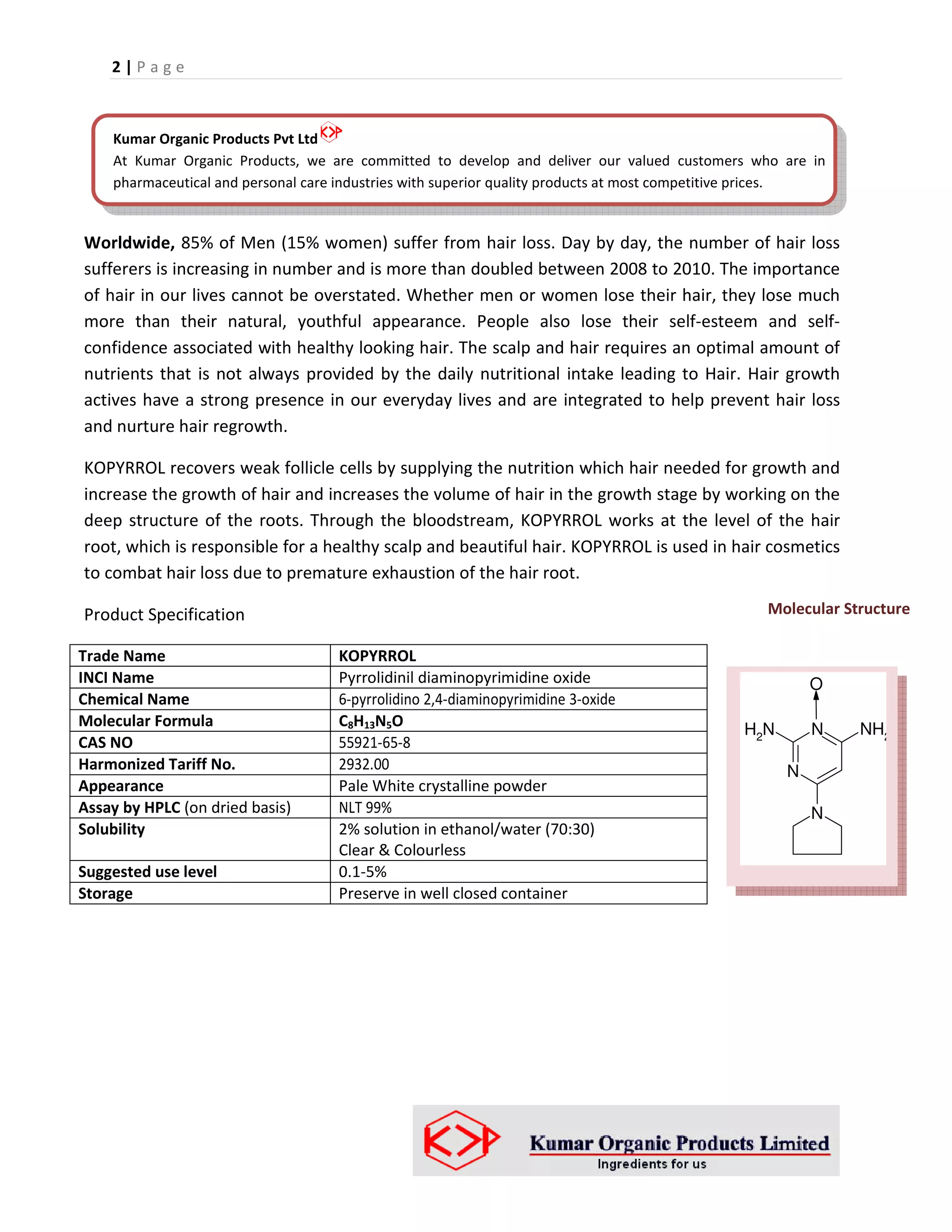 Kopyrrol brochure | PDF