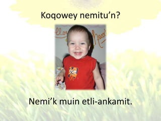 Koqowey nemitu’n?
Nemi’k muin etli-ankamit.
 