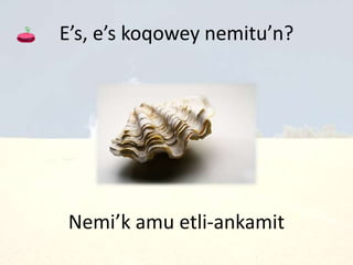 E’s, e’s koqowey nemitu’n?
Nemi’k amu etli-ankamit
 