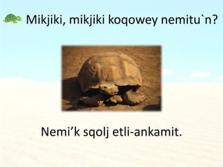 Mikjiki, mikjiki koqowey nemitu`n?
Nemi’k sqolj etli-ankamit.
 