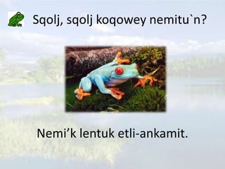 Sqolj, sqolj koqowey nemitu`n?
Nemi’k lentuk etli-ankamit.
 