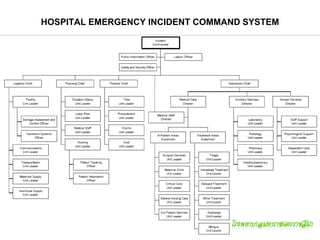 HOSPITAL EMERGENCY INCIDENT COMMAND SYSTEM
 