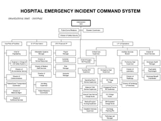 HOSPITAL EMERGENCY INCIDENT COMMAND SYSTEM
 
