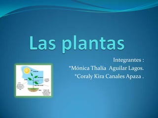 Integrantes :
*Mónica Thalía Aguilar Lagos.
*Coraly Kira Canales Apaza .

 