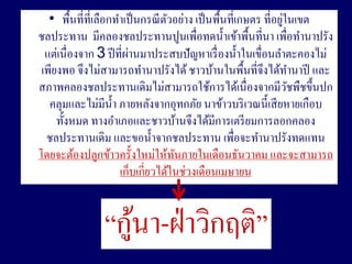 ?
   ? ???????????????????? ????? ??????? ??? ????????????? ???????????
                                 ?
???????? ?????????????????????????? ?????????????? ?????????????
                        ?
  ???????????? 3 ?? ?????????????????????? ???? ???????????????????
 ??????? ??????????????????????? ???????????????????????????? ???
????????????????????????????????????????????????????????????      ?
   ?????????????? ? ????????????????? ????????? ????????? ?????????
     ??????? ????????????????????????????????? ????????????
  ???????????? ??????? ???????????? ????????????????????
???????????????????????????????????????????????? ???????????
                                   ?
                     ??????????????????????????????


                  ?
               ????-?? ???????
 
