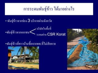 ???????????????? ????????????
                             ?
- ???????????????? 3 ??? ??????????????
         ?
                           ??? ???????????
                                ?
-?????????????????
        ?                  ???????? CSR Korat

-????????????????????????????.????????? ????
        ?
 