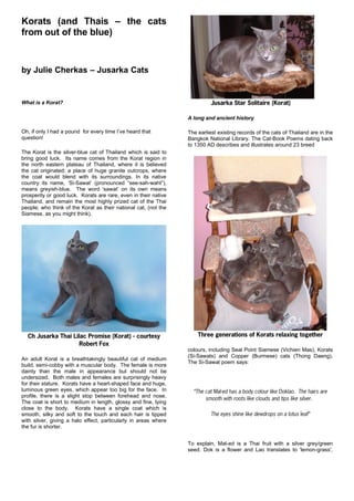 Korats (and Thais – the cats
from out of the blue)


by Julie Cherkas – Jusarka Cats


What is a Korat?                                                           Jusarka Star Solitaire (Korat)

                                                                 A long and ancient history

Oh, if only I had a pound for every time I’ve heard that         The earliest existing records of the cats of Thailand are in the
question!                                                        Bangkok National Library. The Cat-Book Poems dating back
                                                                 to 1350 AD describes and illustrates around 23 breed
The Korat is the silver-blue cat of Thailand which is said to
bring good luck. Its name comes from the Korat region in
the north eastern plateau of Thailand, where it is believed
the cat originated; a place of huge granite outcrops, where
the coat would blend with its surroundings. In its native
country its name, ‘Si-Sawat’ (pronounced “see-sah-waht”),
means greyish-blue. The word ‘sawat’ on its own means
prosperity or good luck. Korats are rare, even in their native
Thailand, and remain the most highly prized cat of the Thai
people; who think of the Korat as their national cat, (not the
Siamese, as you might think).




  Ch Jusarka Thai Lilac Promise (Korat) - courtesy                   Three generations of Korats relaxing together
                     Robert Fox
                                                                 colours, including Seal Point Siamese (Vichien Mas), Korats
                                                                 (Si-Sawats) and Copper (Burmese) cats (Thong Daeng).
An adult Korat is a breathtakingly beautiful cat of medium
                                                                 The Si-Sawat poem says:
build, semi-cobby with a muscular body. The female is more
dainty than the male in appearance but should not be
undersized. Both males and females are surprisingly heavy
for their stature. Korats have a heart-shaped face and huge,
luminous green eyes, which appear too big for the face. In         “The cat Mal-ed has a body colour like Doklao. The hairs are
profile, there is a slight stop between forehead and nose.
                                                                        smooth with roots like clouds and tips like silver.
The coat is short to medium in length, glossy and fine, lying
close to the body. Korats have a single coat which is
smooth, silky and soft to the touch and each hair is tipped                The eyes shine like dewdrops on a lotus leaf”
with silver, giving a halo effect, particularly in areas where
the fur is shorter.


                                                                 To explain, Mal-ed is a Thai fruit with a silver grey/green
                                                                 seed. Dok is a flower and Lao translates to 'lemon-grass',
 