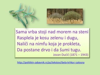 Sama vrba stoji nad morem na steni
Rasplela je kosu zelenu i dugu,
Naliči na nimfu koja je prokleta,
Da postane drvo i da šumi tugu.
                                Jovan Dudič (1871 – 1943)

http://politikin-zabavnik.rs/pz/tekstovi/bela-krhka-i-zalosna
 