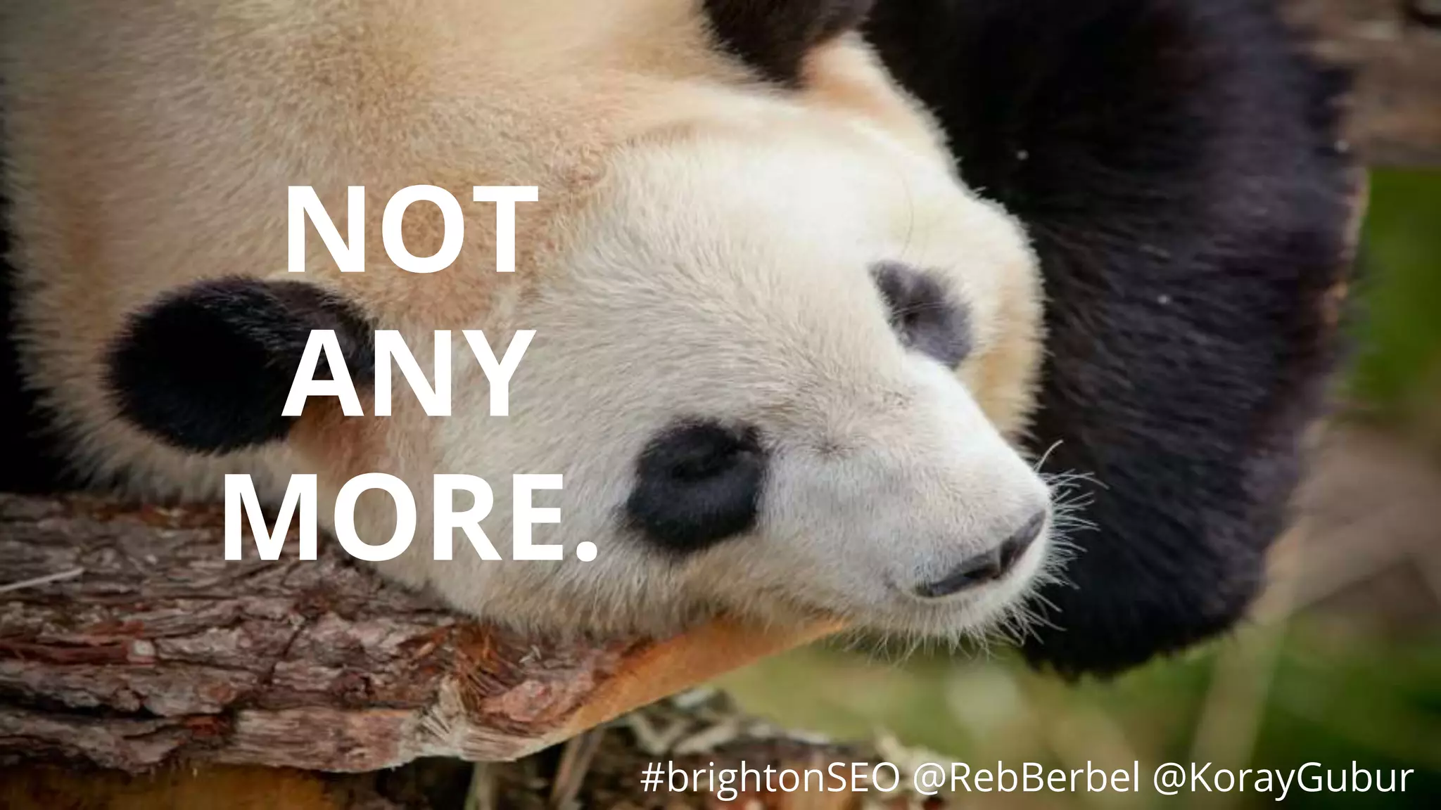 #brightonSEO @RebBerbel @KorayGubur
NOT
ANY
MORE.
#brightonSEO @RebBerbel @KorayGubur
 
